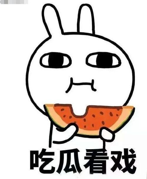 娱乐吃瓜君绵羊,揭秘娱乐圈幕后故事